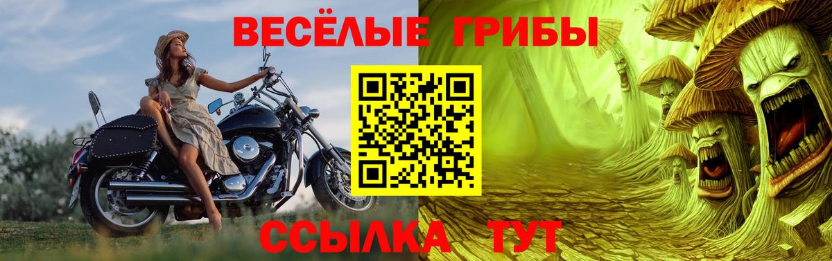 Псилоцибиновые грибы GOLDEN TEACHER Амурск